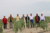 非凡公司总经理赵文强回访新疆岳普湖种植户