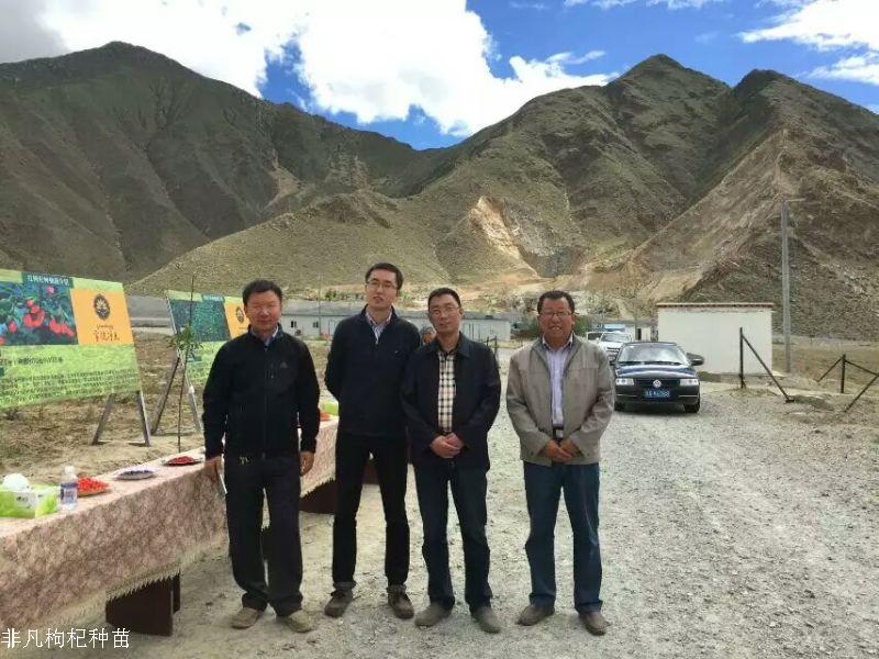 公司總經理趙文強與寧夏農科院專家在拉薩睿健凈土基地參觀交流